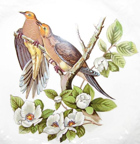 two turtle doves.jpg